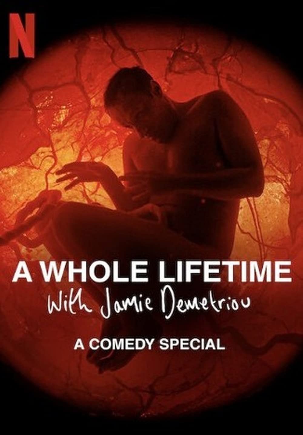 ดูหนัง A WHOLE LIFETIME WITH JAMIE DEMETRIOU (2023)